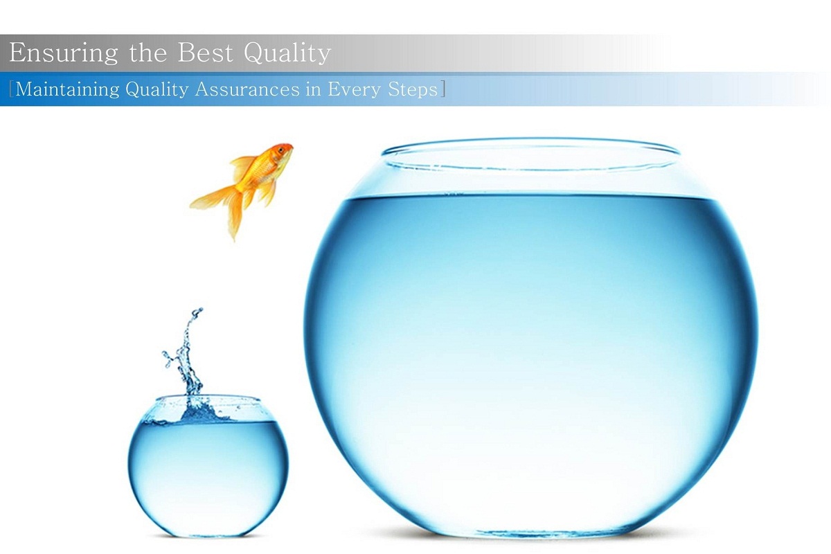 ensuring the best quality